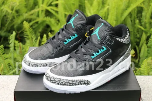 Authentic  Air Jordan 3 Atmos Elephant