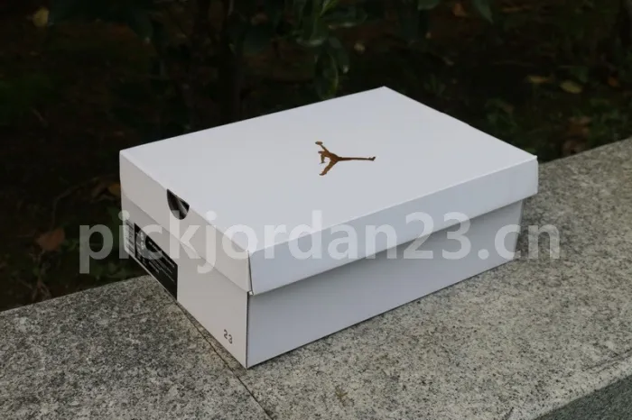 Authentic Air Jordan 7 PE Oregon Ducks