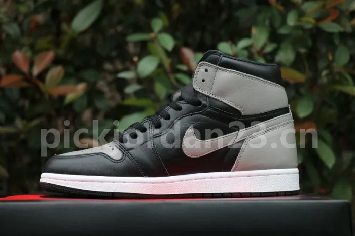 Authentic Air Jordan 1 OG “Shadow” 2018