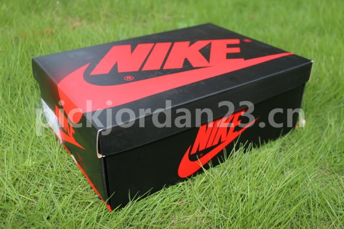 Authentic Air Jordan 1 High OG Top 3