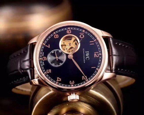 IWC Watches-296