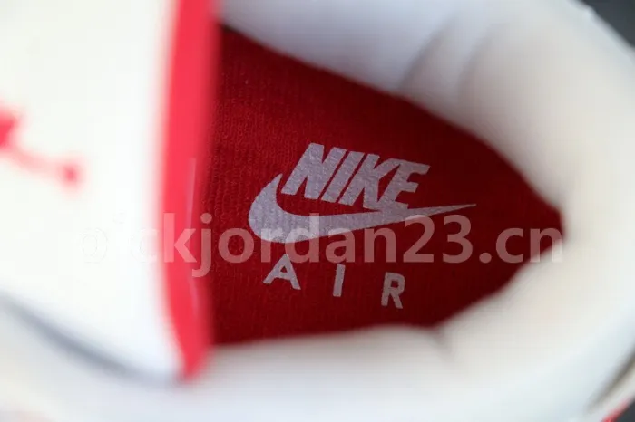 Authentic Air Jordan 3 Tinker “Air Max 1”