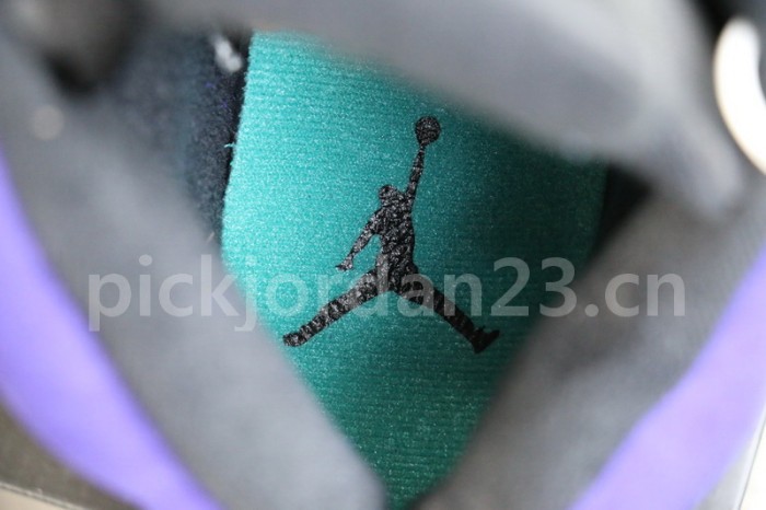 Authentic  Air Jordan 5 “Alternate Grape”