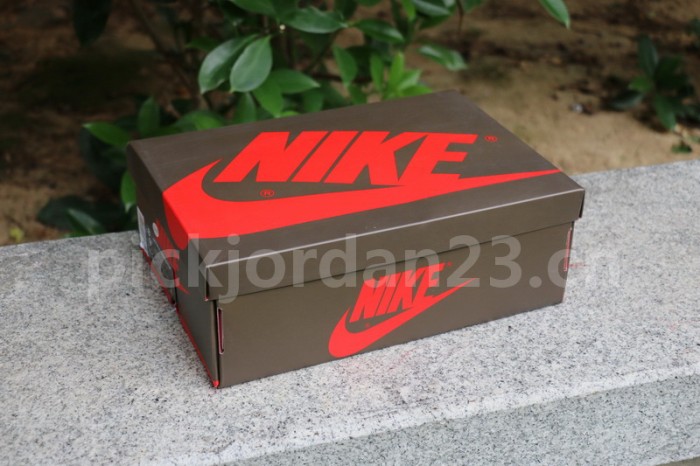 Authentic 2.0 Travis Scott x Air Jordan 1