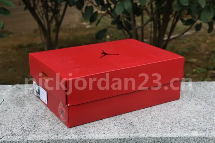 Authentic Levi’s x Air Jordan 4