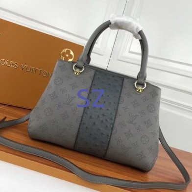 LV Hangbags AAA-281