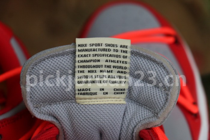 Authentic OFF-WHITE x Nike Dunk Low Red Grey