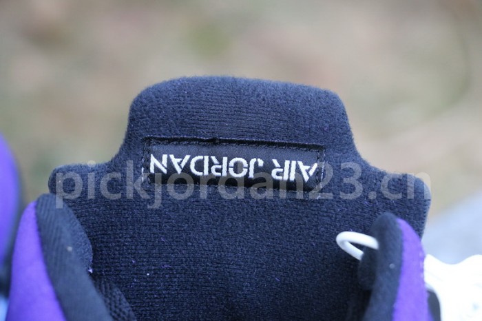 Authentic  Air Jordan 5 “Alternate Grape”