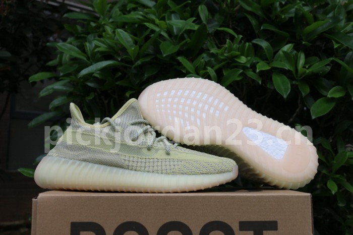 Authentic Yeezy Boost 350 V2 “ANTLIA”
