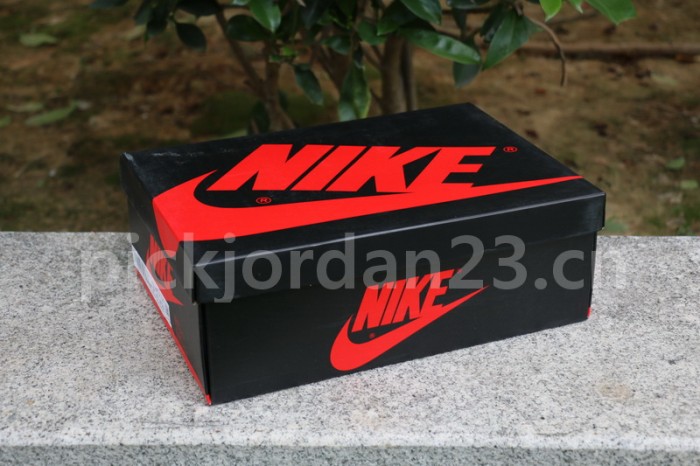 Authentic Travis Scott x Air Jordan 1