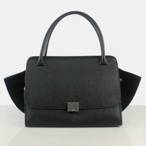 Celine handbags AAA-315