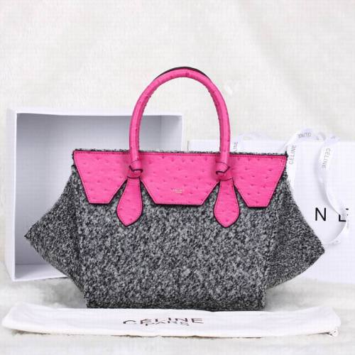 Celine handbags AAA-106