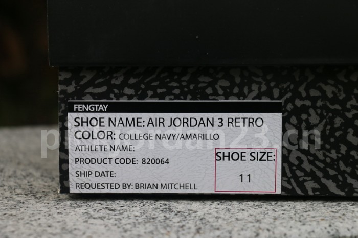 Authentic Air Jordan 3 Michigan