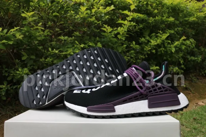 Authentic Pharrell x AD NMD Hu Trail “Equality” Holi
