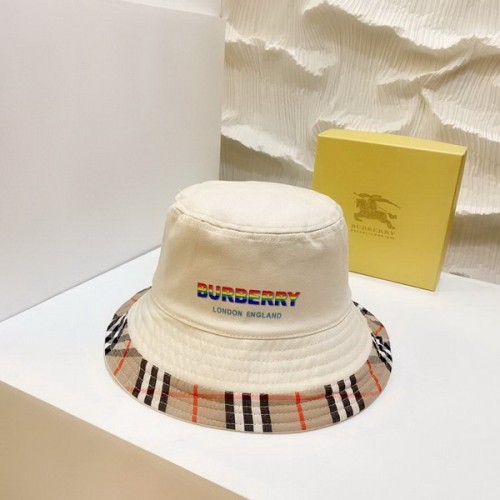 Burrerry Hats AAA-345