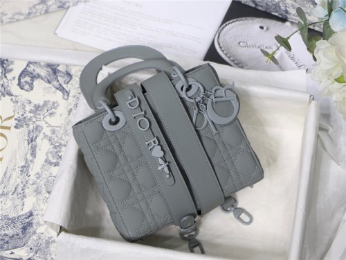 Dior Handbags High End Quality-099