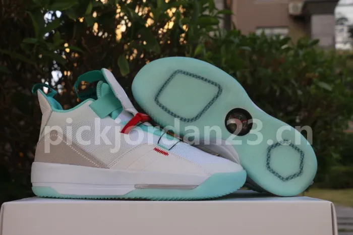Authentic Air Jordan 33 BV5072 101