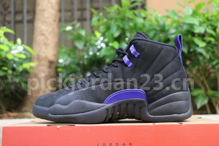 Authentic Air Jordan 12 “Dark Concord”