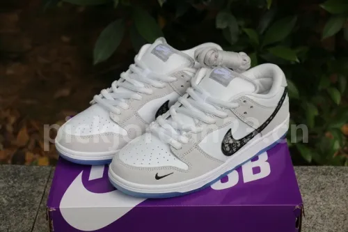 Authentic Dior x Nike Dunk Low SP
