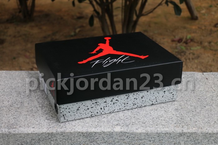 Authentic Air Jordan 4 “Pale Citron”