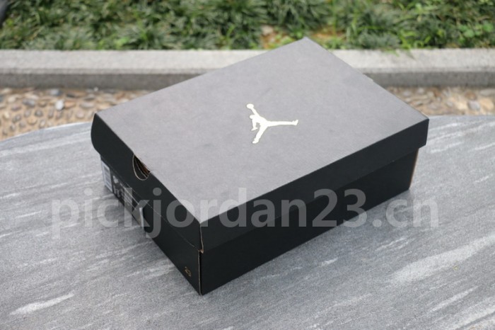 Authentic Air Jordan 10 “NYC”