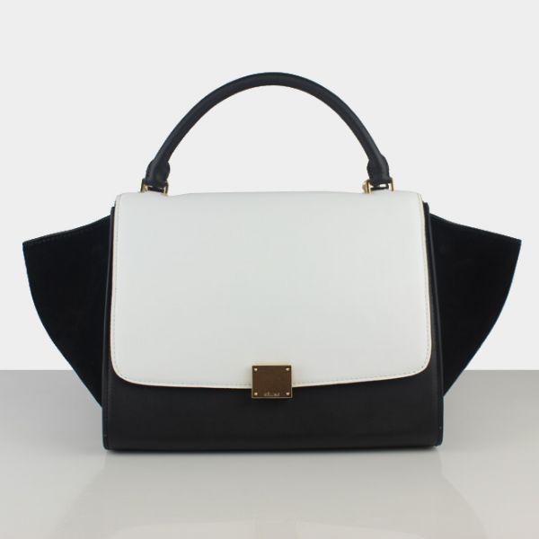 Celine handbags AAA-307