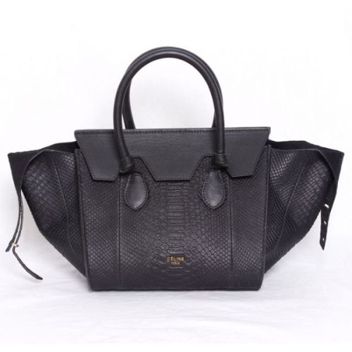 Celine handbags AAA-249