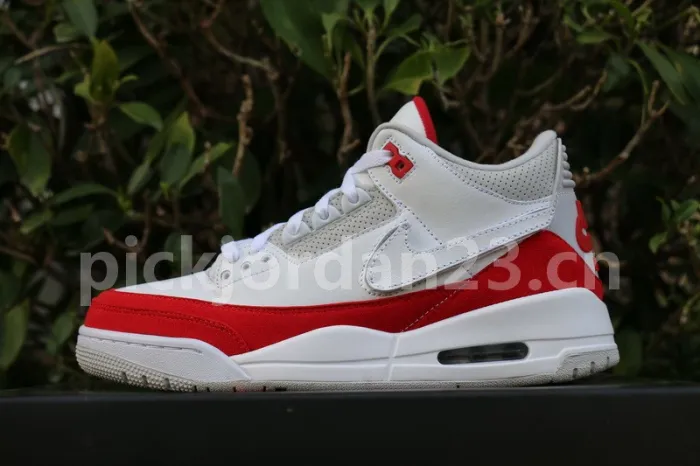 Authentic Air Jordan 3 Tinker “Air Max 1”