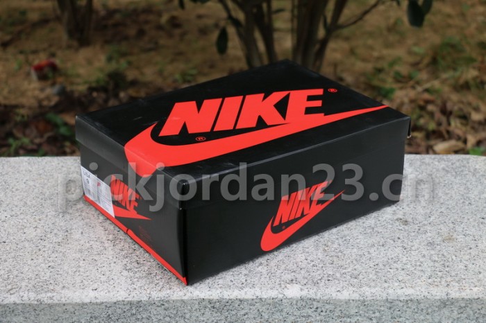 Authentic Air Jordan 1 NRG “No L’s”