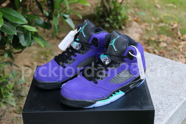 Authentic  Air Jordan 5 “Alternate Grape”
