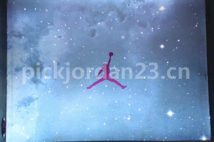 Authentic Air Jordan 11 “Space Jam” 2016