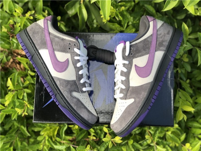 Authentic Nike Dunk SB Low Purple Pigeon Low Blue