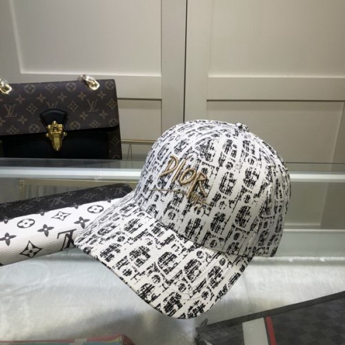 Dior Hats AAA-448