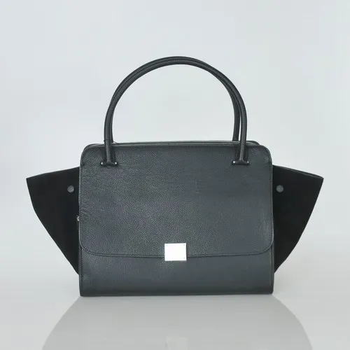 Celine handbags AAA-317