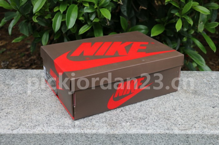 Authentic Travis Scott x Air Jordan 1 High OG TS SP