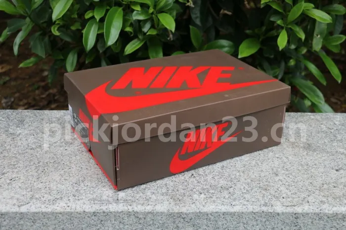 Authentic Travis Scott x Air Jordan 1 High OG TS SP
