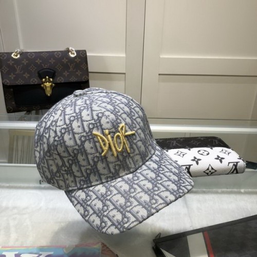 Dior Hats AAA-446