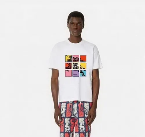 Burberry t-shirt men-013(M-XXL)