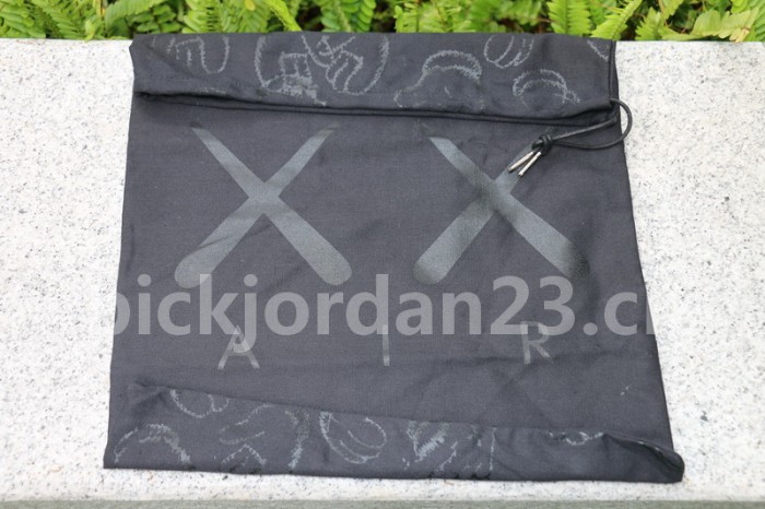 Authentic Kaws x Air Jordan 4 “Cool Grey”