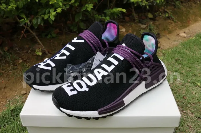 Authentic Pharrell x AD NMD Hu Trail “Equality” Holi