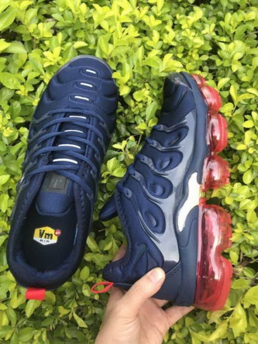 Nike Air Max TN Plus men shoes-1061