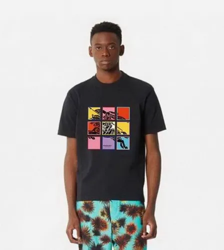 Burberry t-shirt men-012(M-XXL)