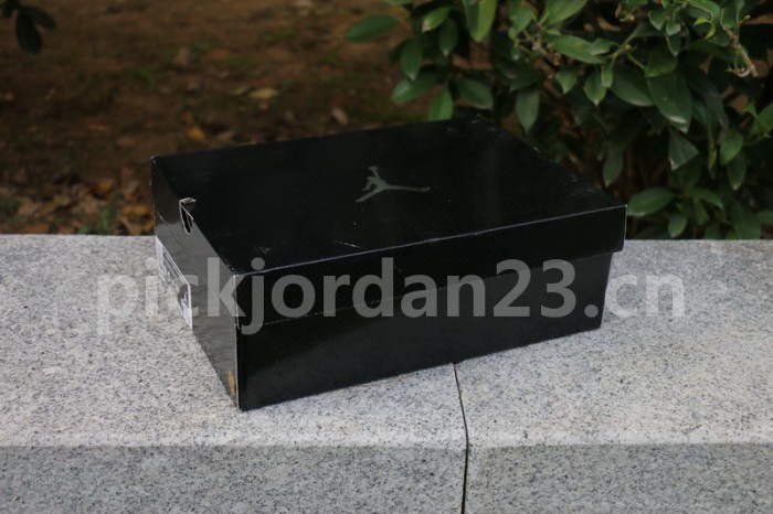 Authentic Air Jordan 11 Low SE “Snakeskin”