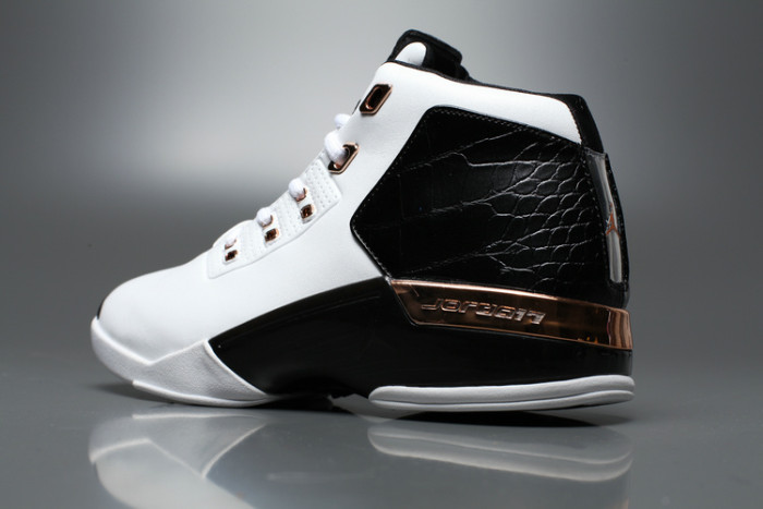 Air Jordan 17 AAA-005