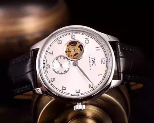 IWC Watches-300