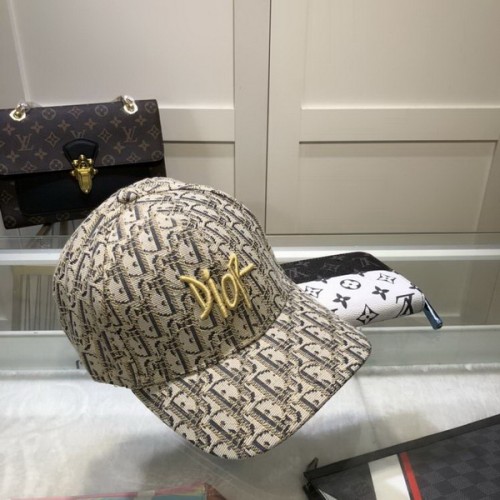 Dior Hats AAA-447