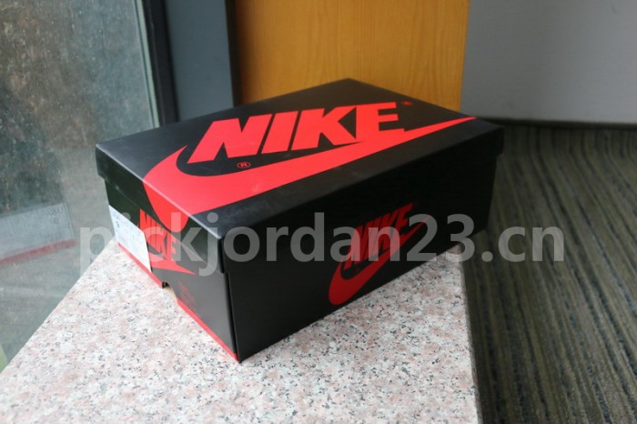 Authentic  Air Jordan 1  “SP Gina”