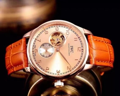 IWC Watches-295
