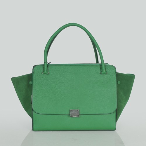 Celine handbags AAA-320