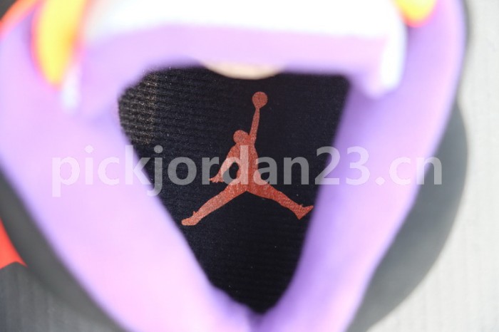 Authentic Air Jordan 5 Shawn Marion PE